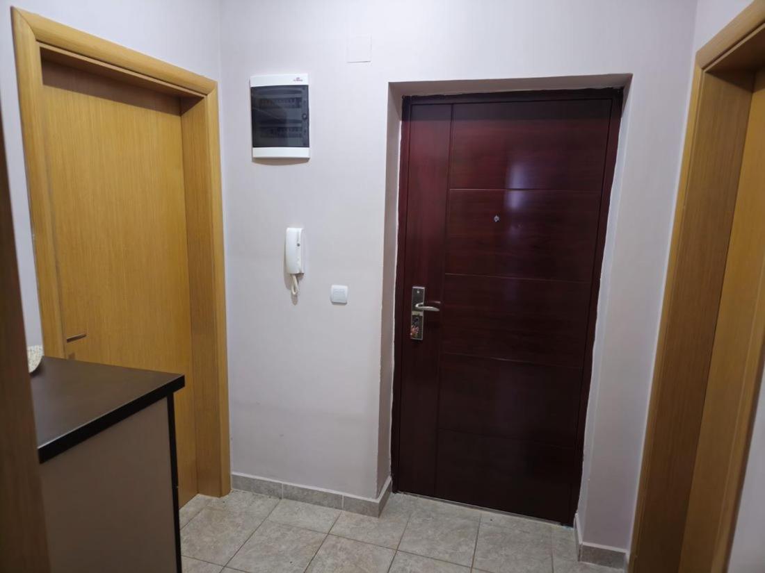 Lion Apartment *